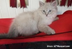 8 tednov